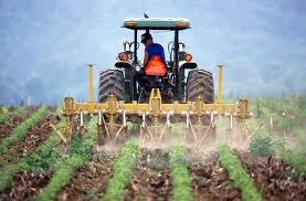 agriculture